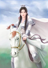 《將君計》